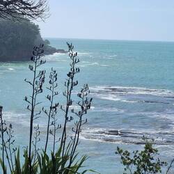 Looking down to boat launching bay at Leigh