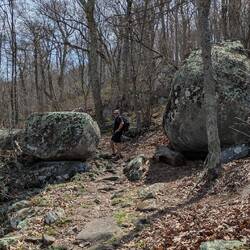 Flat Top Mountain Trail