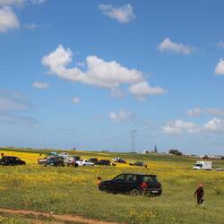 Picknick in der Wiese