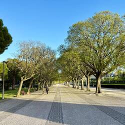 Impressionen aus Lissabon