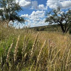 ...nach vielen Jahren ohne Regen wer der Winter 2024/2025 ein Segen...