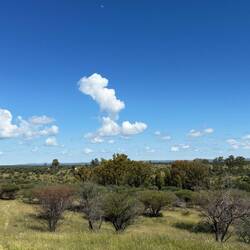 ...wunderbar grün nach dem Regen...