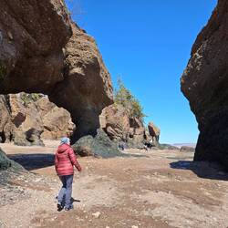 Hopewell Rocks - Felsformationen in Ufernähe