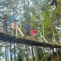 The hotel we stopped at for lunch had this suspension bridge that ran over the road.