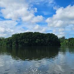 The Brunei River was beautiful.
