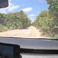 Leider sieht man diese wirklich teilweise sehr großen Schlaglöcher nicht richtig