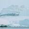 Find the penguin ... hint, it's a little black dot — Weddell Sea, Antarctica.