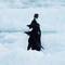Pretty Adelie penguins all in a row — Weddell Sea, Antarctica.