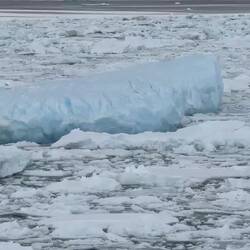 Is that a penguin on the berg? No ... it's two penguins — Weddell Sea, Antarctica.