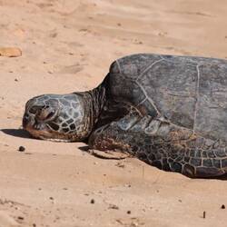 In Ruhe relaxen...? Hier schwierig....😅