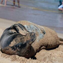 Ein bisschen Schlammmaske nachtragen...