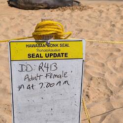 Von 7 AM bis 4 PM... Ein langer Strandtag!