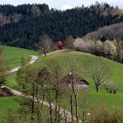 Auf der Höhenstraße