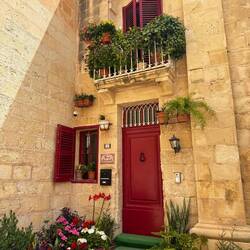 Eine von 300 Einwohnern in Mdina