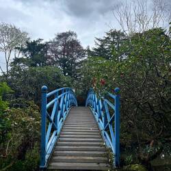Nächster Tag Aberdeen, erster Stopp Johnston Gardens