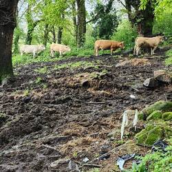 Ok what's with the lineup...it's not lunchtime yet🤣🤣