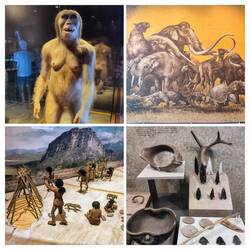 Evolutionsgeschichte, Museo Nacional de Antropología