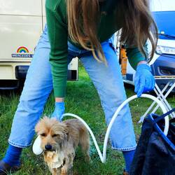 Das passiert, wenn man das Schaf findet