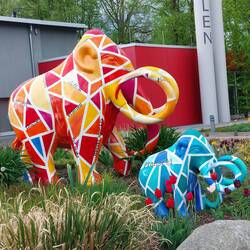 Schwimmbad Mammut mit Baby