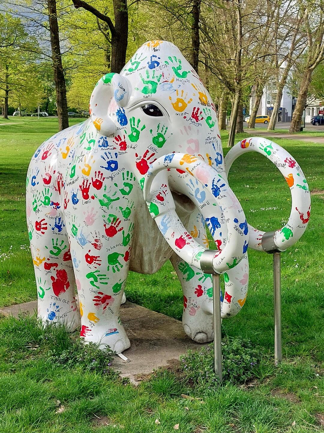 Schul Mammut