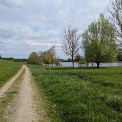 Die letzten Meter wieder an der Donau