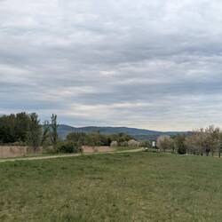 Auf dem Deich sieht man die Donau auch nicht