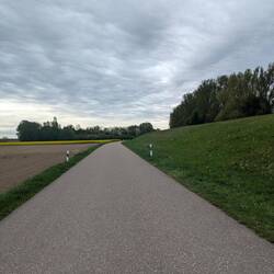 Langweiliger Radweg neben dem Deich