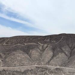 Orca, Palpa lines (culture similar to Nazca, lines probably a little older, around year 200)