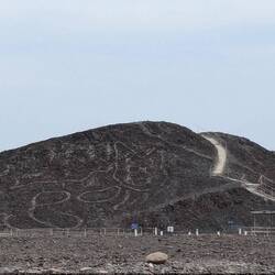 Zoom in to see the cat (Nazca lines)