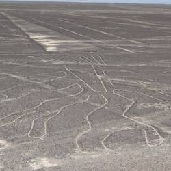 Tree, Nazca lines