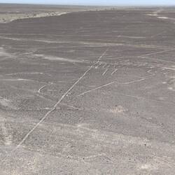 Frog, Nazca lines
