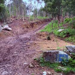 This looks like a good spot to have our lunch