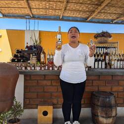 Pisco tasting