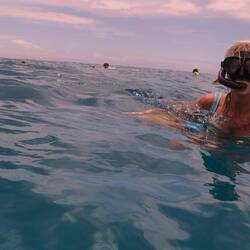 Dawn swims nearby...