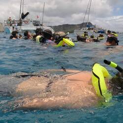With all the other kayak trips out there, one needs to try to swim away from the crowds.