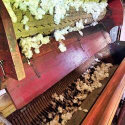 In der Cotton Gin wurde die Baumwolle gerupft: die feinen Fasern wurden von den Kernen getrennt