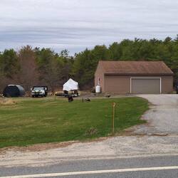 Free Range Turkeys😅