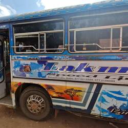 The zero air-conditioning buses