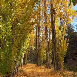 Gorgeous Autumn