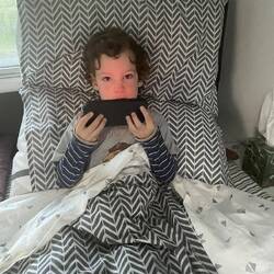 Archie very comfy in our bed in the caravan