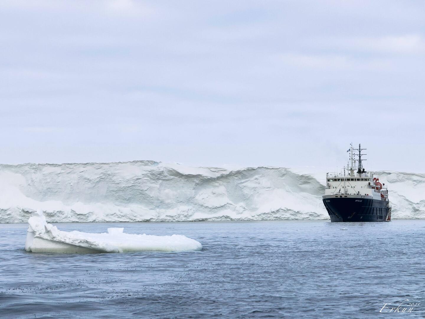 Leaving Ortelius at the edge of the ice shelf, we go zodiac cruising — Weddell Sea, Antarctica.