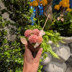 Influencer lifestyle 😎