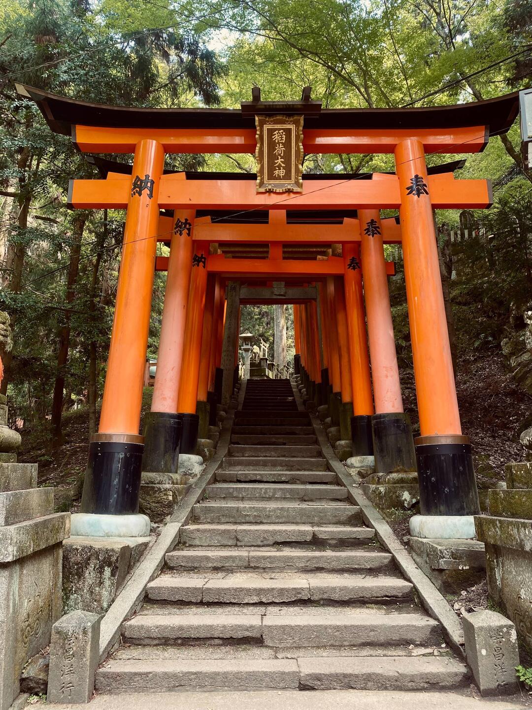 10.000 Torii Gates
