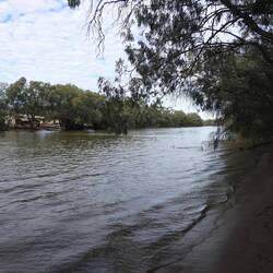 The Bogan River next to caravan park (hence Big Bogan)