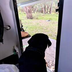 Contemplating the day ahead