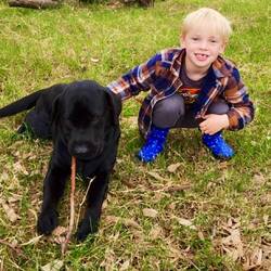 Jett's new best friend