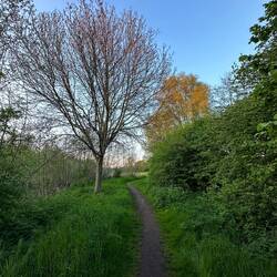 Walking track around the lake