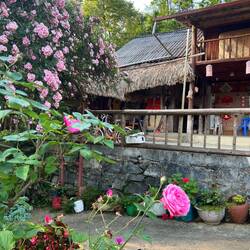 Arriver dans un gîte fleuri de rosiers!