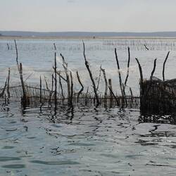 Traditioneller Fischfang