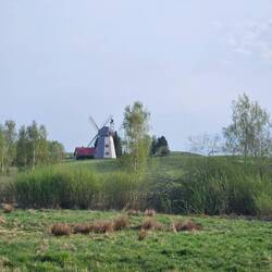 Windmühle am Weg
